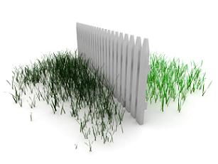 cheating-grass is always greener on the other  side